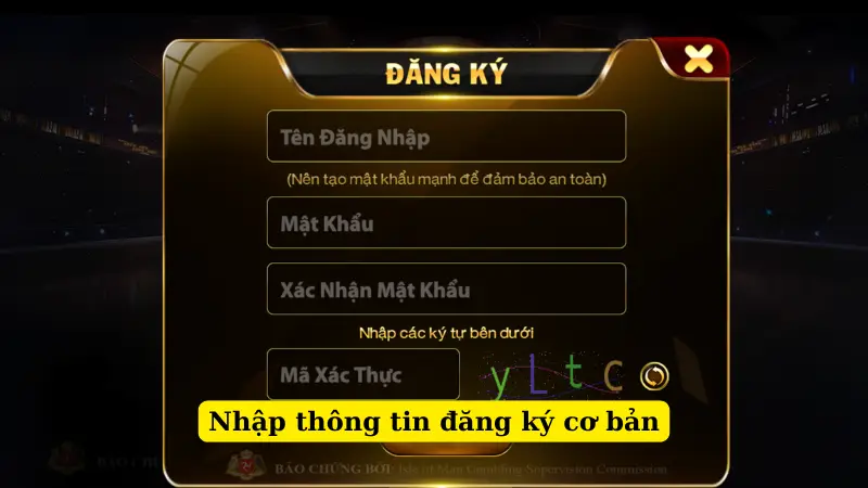 Nhập thông tin đăng ký cơ bản