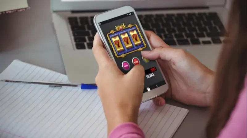 Bayclub Hợp Pháp Không? Phân Tích Giấy Phép Và Tiêu Chuẩn Quản Lý